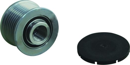 WAI 24-99251 - Poulie, alternateur droxauto.com