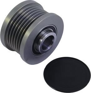WAI 24-12510 - Poulie, alternateur droxauto.com