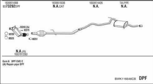 Walker BWK116646CB - Échappement droxauto.com