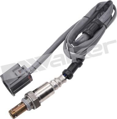 Walker Products 350-64101 - Sonde lambda droxauto.com