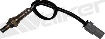 Walker Products 350-34939 - Sonde lambda droxauto.com