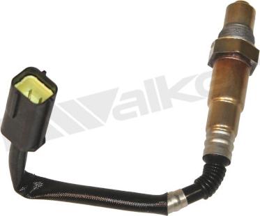 Walker Products 350-34556 - Sonde lambda droxauto.com