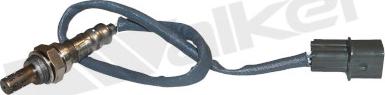 Walker Products 350-34014 - Sonde lambda droxauto.com