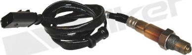 Walker Products 350-34365 - Sonde lambda droxauto.com