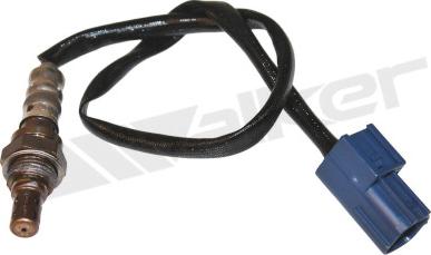 Walker Products 350-34384 - Sonde lambda droxauto.com