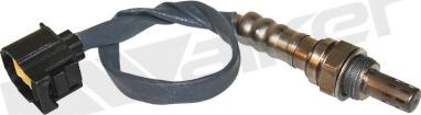 Walker Products 350-34320 - Sonde lambda droxauto.com