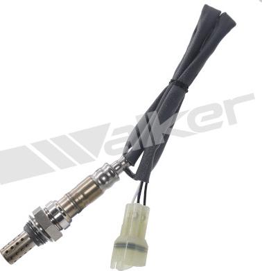 Walker Products 350-34243 - Sonde lambda droxauto.com