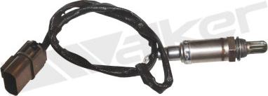 Walker Products 350-33066 - Sonde lambda droxauto.com