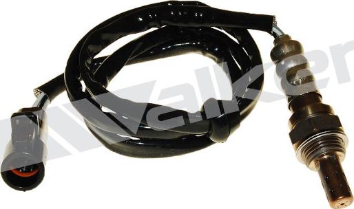 Walker Products 250-24903 - Sonde lambda droxauto.com