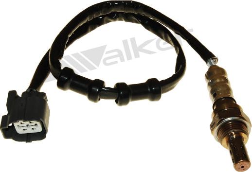 Walker Products 250-24429 - Sonde lambda droxauto.com
