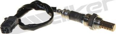 Walker Products 250-24584 - Sonde lambda droxauto.com