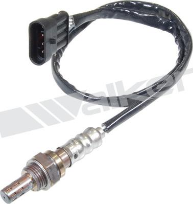 Walker Products 250-24531 - Sonde lambda droxauto.com