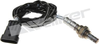 Walker Products 250-24524 - Sonde lambda droxauto.com