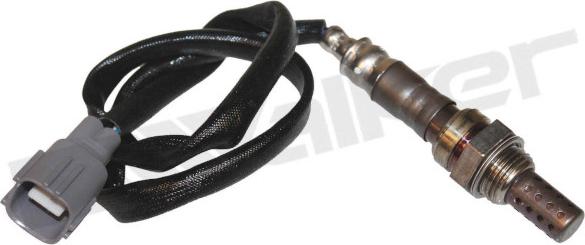 Walker Products 250-24106 - Sonde lambda droxauto.com