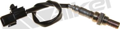 Walker Products 250-241001 - Sonde lambda droxauto.com