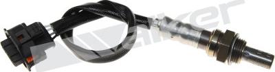 Walker Products 250-241030 - Sonde lambda droxauto.com