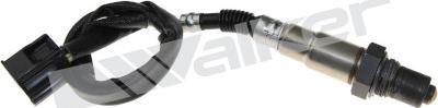 Walker Products 250-241112 - Sonde lambda droxauto.com