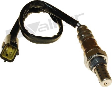 Walker Products 250-24851 - Sonde lambda droxauto.com