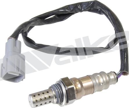 Walker Products 250-24331 - Sonde lambda droxauto.com