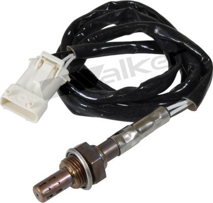 Walker Products 250-23100 - Sonde lambda droxauto.com