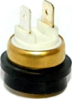 WE PARTS 410580273 - Interrupteur de température, ventilateur de radiateur droxauto.com
