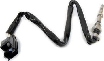 WE PARTS 411420111 - Capteur, température des gaz droxauto.com