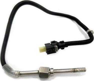 WE PARTS 411420212 - Capteur, température des gaz droxauto.com