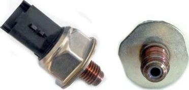 WE PARTS 392030064 - Capteur, pression de carburant droxauto.com