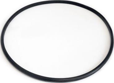 WE PARTS 320920028 - Joint d'étanchéité, palpeur de réservoir droxauto.com