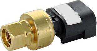 Wilmink Group WG1941131 - Capteur, pression de carburant droxauto.com