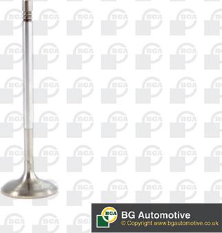 Wilmink Group WG1907566 - Soupape d'admission droxauto.com