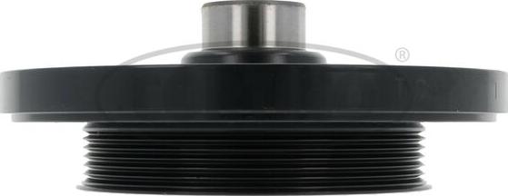 Wilmink Group WG1923598 - Poulie, vilebrequin droxauto.com