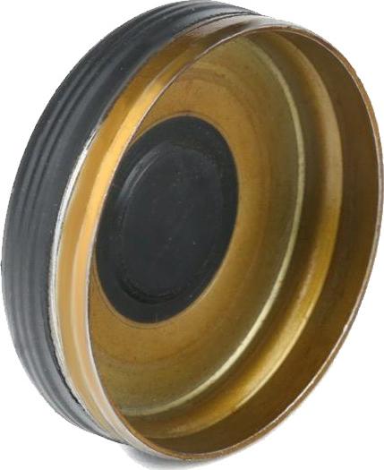 Wilmink Group WG1923895 - Bouchon, axe de culbuteurs-nez fileté droxauto.com