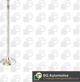 Wilmink Group WG1491046 - Soupape d'admission droxauto.com