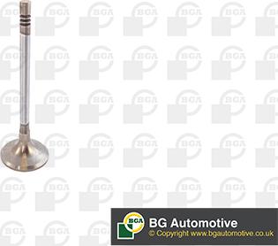 Wilmink Group WG1491239 - Soupape d'admission droxauto.com