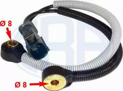 Wilmink Group WG1493670 - Capteur de cognement droxauto.com