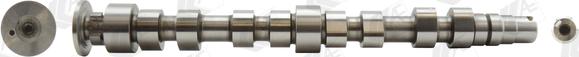 Wilmink Group WG1462558 - Arbre à came droxauto.com