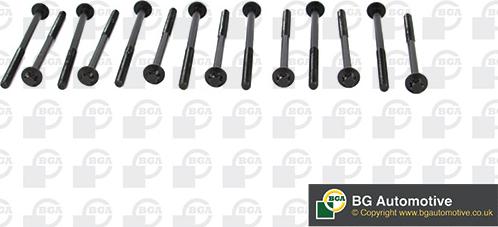 Wilmink Group WG1489956 - Jeu de boulons de culasse de cylindre droxauto.com