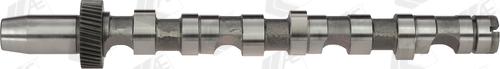 Wilmink Group WG1093066 - Arbre à came droxauto.com