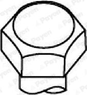 Wilmink Group WG1093196 - Jeu de boulons de culasse de cylindre droxauto.com