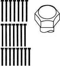 Wilmink Group WG1093181 - Jeu de boulons de culasse de cylindre droxauto.com