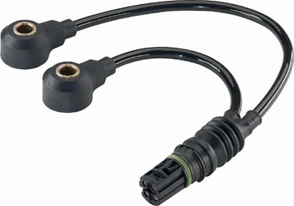 Wilmink Group WG1032809 - Capteur de cognement droxauto.com