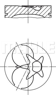 Wilmink Group WG1200570 - Piston droxauto.com