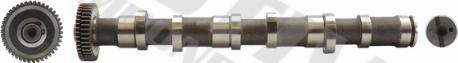 Wilmink Group WG1100111 - Arbre à came droxauto.com