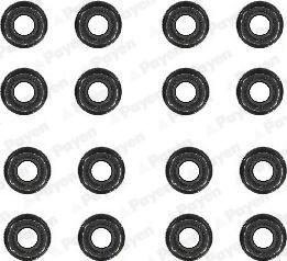 Wilmink Group WG1181293 - Jeu de joints d'étanchéité, tige de soupape droxauto.com