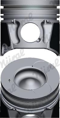 Wilmink Group WG1175149 - Piston droxauto.com