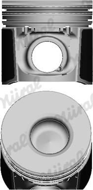 Wilmink Group WG1175182 - Piston droxauto.com