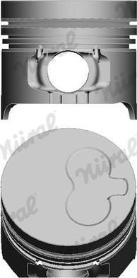 Wilmink Group WG1175724 - Piston droxauto.com