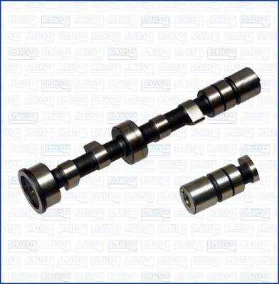 Wilmink Group WG1170955 - Arbre à came droxauto.com