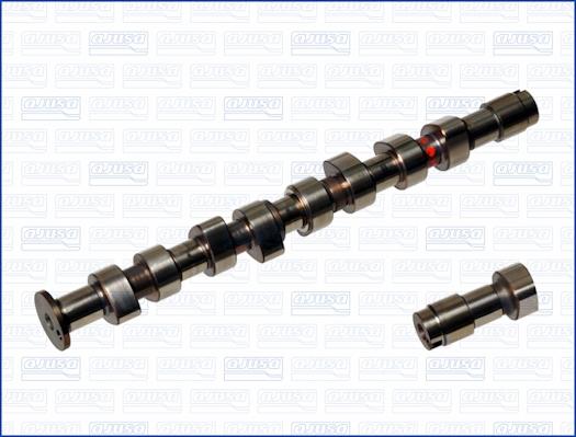 Wilmink Group WG1170970 - Arbre à came droxauto.com